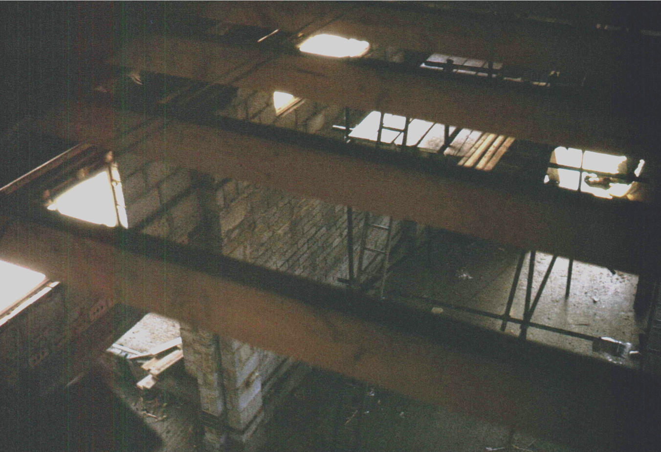 Image 13
