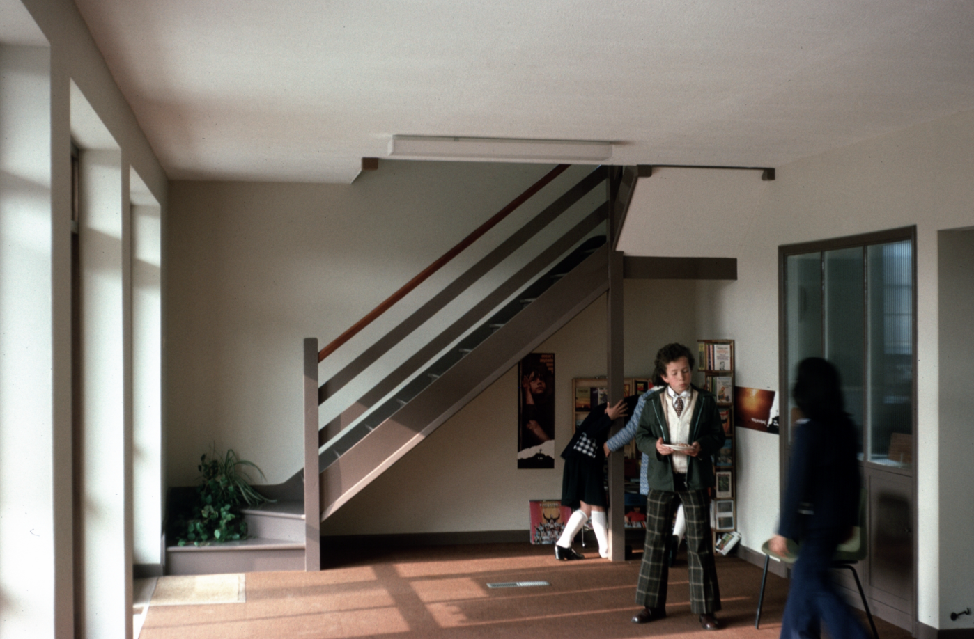 Image 5